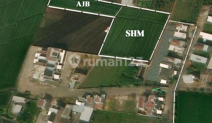 Dijual Tanah Sawah Lahan Kuning Mojo Rejo