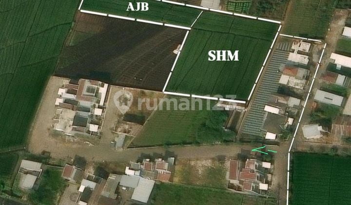 Dijual Tanah Sawah Lahan Kuning Mojo Rejo