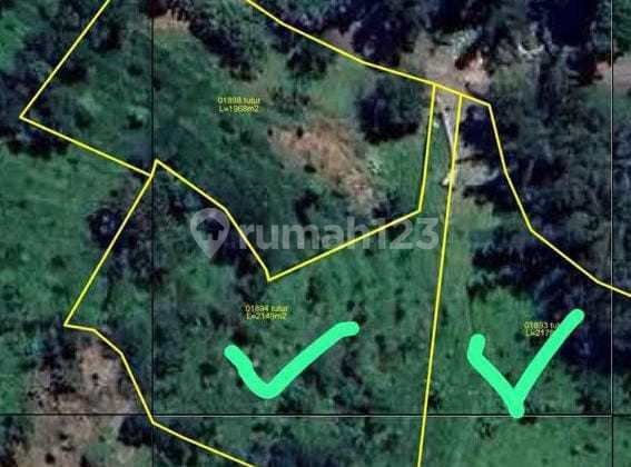 Land For Sale Super Cheap In Nongkojajar