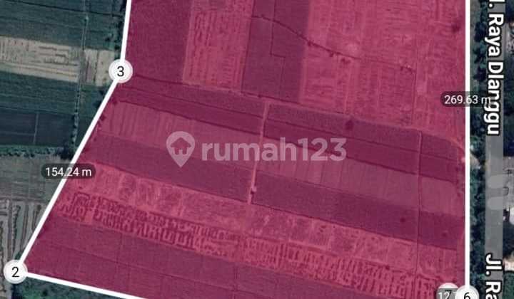 Land for Sale in Mojokerto, Zero Road Access, Dlangu. Land for Sale in Mojokerto, Zero Road Access, Dlangu.