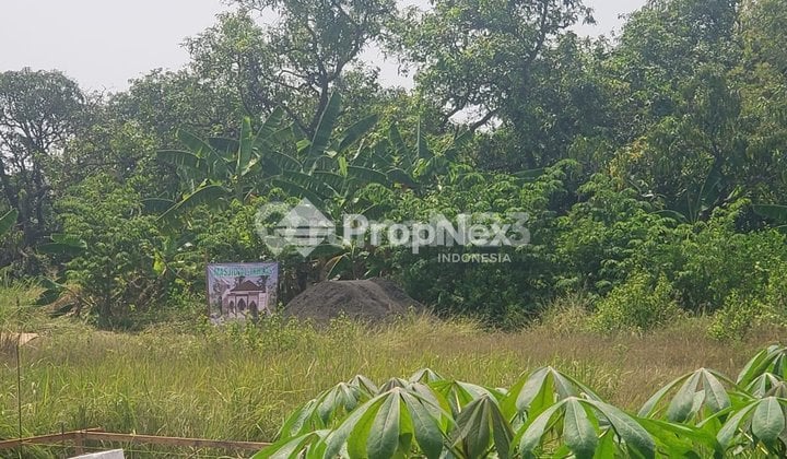 Dijual Tanah untuk Usaha Nol Jalantoll Gresik