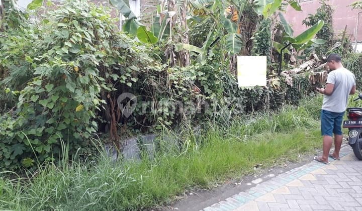 Tanah Jln Semampir Tengah, Surabaya