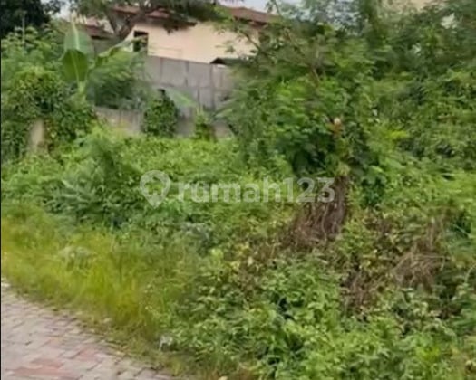 Tanah Raya Puncak Sambisari Dekat Simpang Darmo Permai