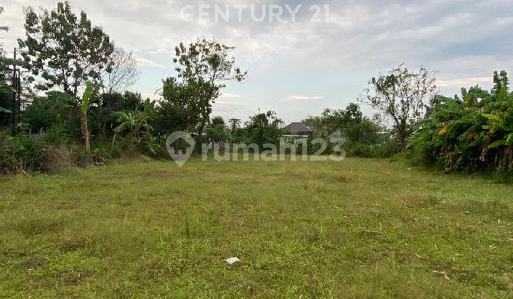 Dijual Tanah Datar Cocok untuk Perumahan Lokasi Madiun Jawa Timur