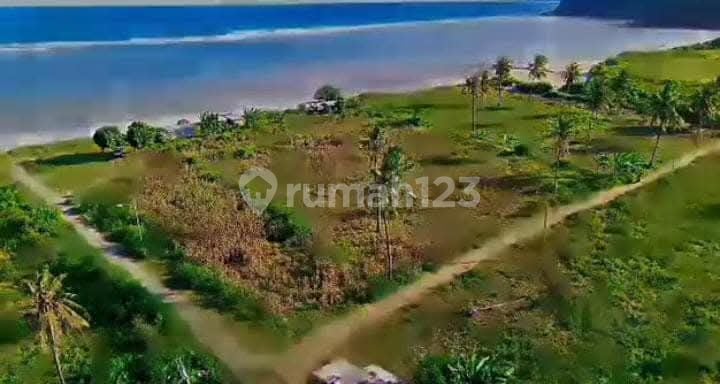 Di Jual Tanah Di Torok Aik Belek Lombok Tengah Ntb