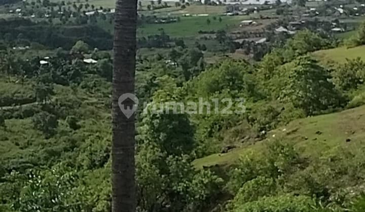 Di Jual Tanah 15 Are Full View Torok Aik Belek Lombok Tengah