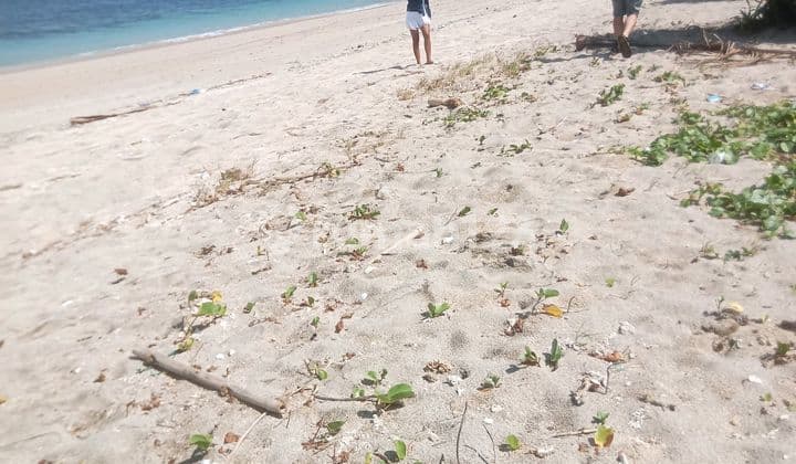 Di Jual Tanah Di Lancing Beach Front Lombok Tengah Ntb