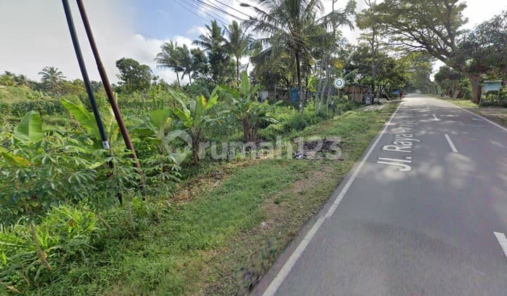 Di Jual Tanah Di Pinggir Jln Raya Praya Montong Terep Lombok Tengah Ntb Pas Buat Gudang,perumahan,kaplingan