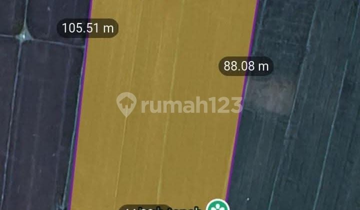 Di Jual 32 Are Pas Buat Gudang Gerung Lombok Barat Ntb