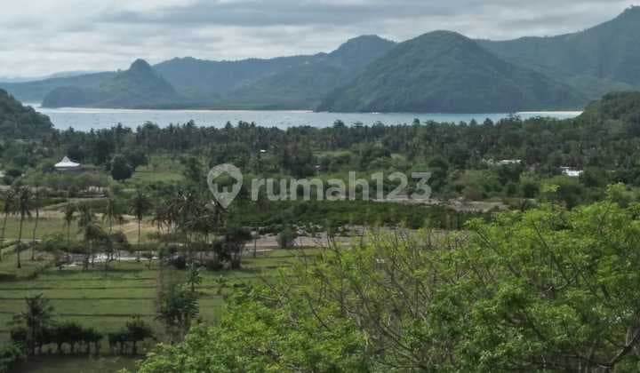 Di Jual Tanah 32 Are Selong Belanak Lombok Tengah Ntb