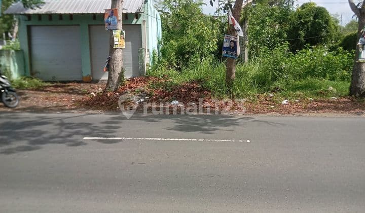 Jual Tanah Di Jln Pahlawan Praya Lombok Tengah Ntb
