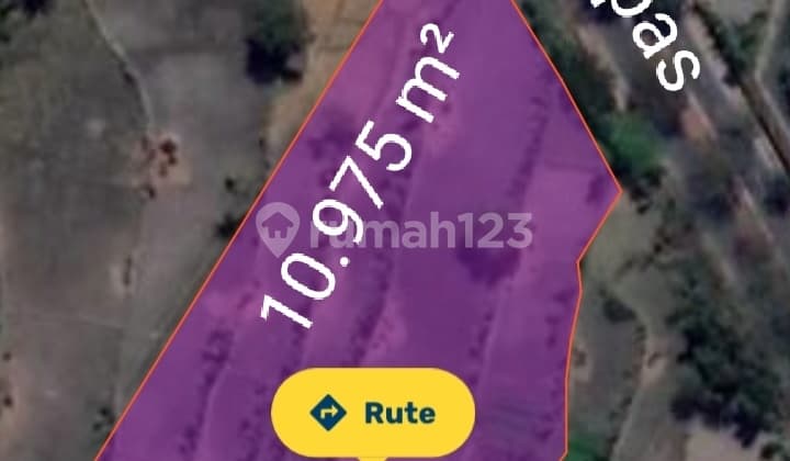 Di Jual Tanah Di Dekat Bandara Internasional Lombok Di Lombok Tengah Ntb Pas Buat Hotel,gudang,perumahan Dll