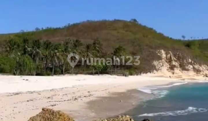 Di Jual Tanah di Pantai Surga Ekas Lombok Timur Ntb