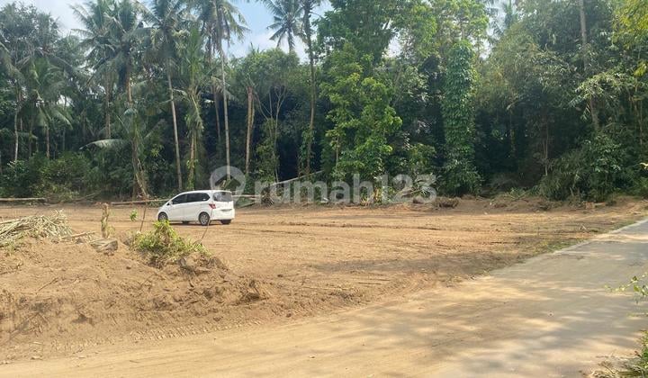 Cocok Untuk PNS Tanah Kavling Dekat Pemda Sleman