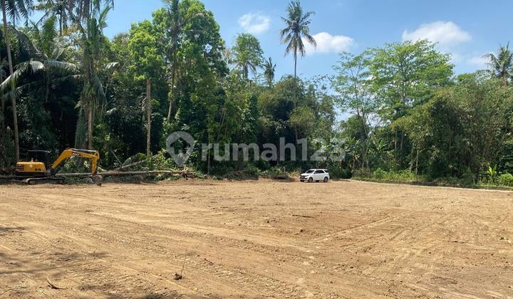 Tanah Kavling Mangku Aspal Dekat Pemda Sleman