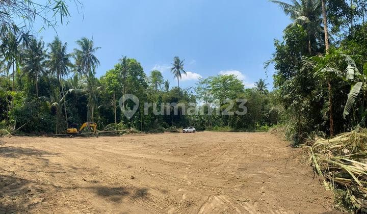 Tanah Untuk Investasi Tanpa Rugi Area Pemda Sleman