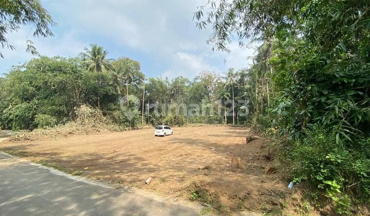 Nego Sampai Deal Tanah di Dekat Pemda Sleman