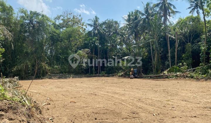 Gak Sampai 200Jt Tanah Strategis Dekat Pemda Sleman