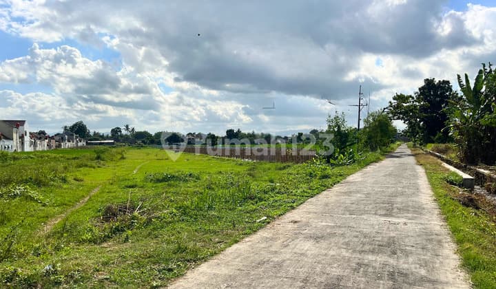 Tanah SHM Godean Strategis Dekat UMY Cicilan 0%