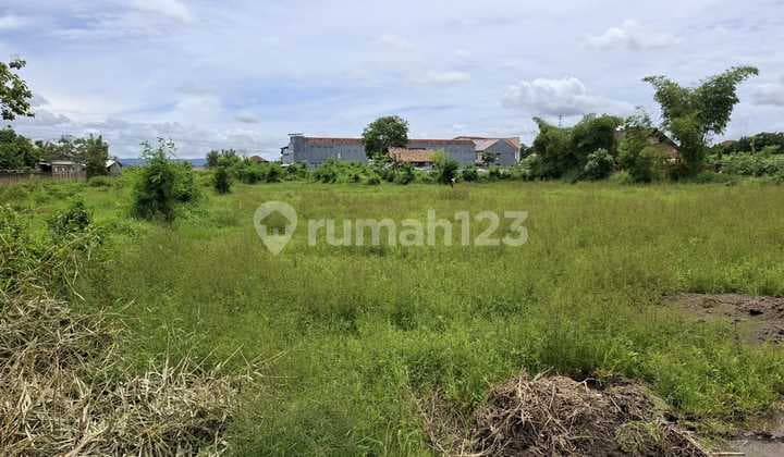 Jual Murah Tanah Jogja SHM 15 Menit Malioboro, Free Balik Nama