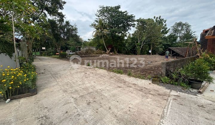 Tanah SHM Sleman Jl Palagan, Siap AJB Siap Bangun