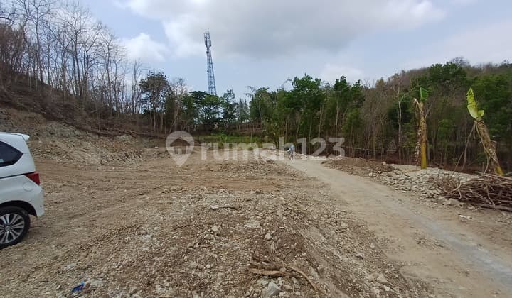 Tanah SHM Bantul Pleret Dekat Puncak Sosok bisa Dicicil