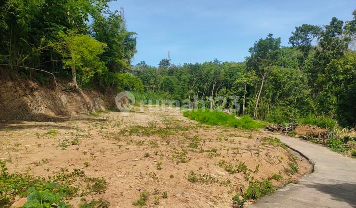 Cocok Investasi, Tanah Murah Bantul Dekat Hutan Pinus