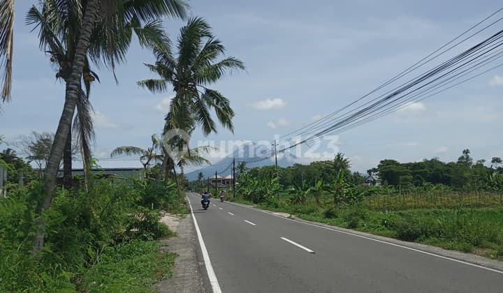 View Merapi, Tanah SHM Dekat Stadion Maguwoharjo Cocok Hunian
