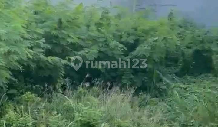 Jual Kavling Tanah di Green Garden HGB Jual Tanah di Dalam Perumahan Green Garden Jakarta Barat
