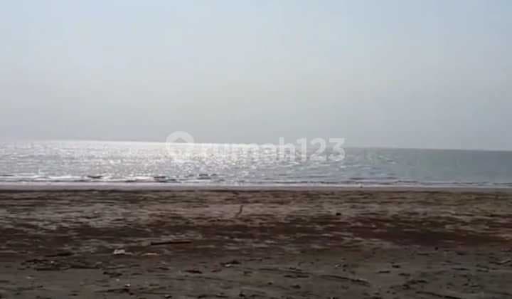 Jual Tanah Premium di Pinggir Pantai Jalan di Tanjung Lesung Panimbang Desa Tegal Papak Jual Tanah Tanjung Lesung