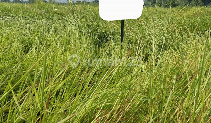 DIJUAL 3 UNIT TANAH KAVLING GREENLAND MENGANTI (Bisa beli terpisah)