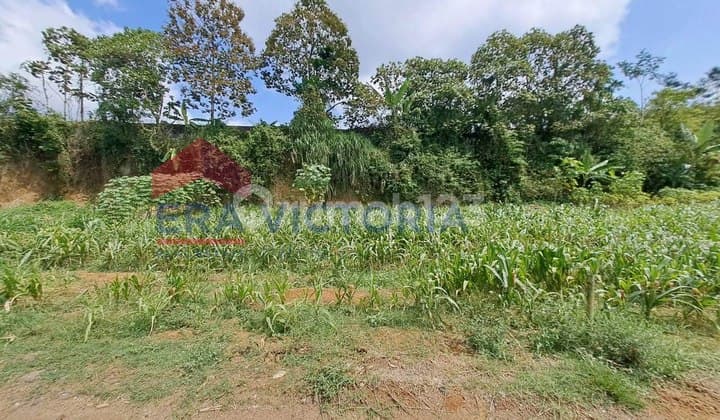 TANAH JUAL DEKAT GUDANG AMUNISI TAJINAN