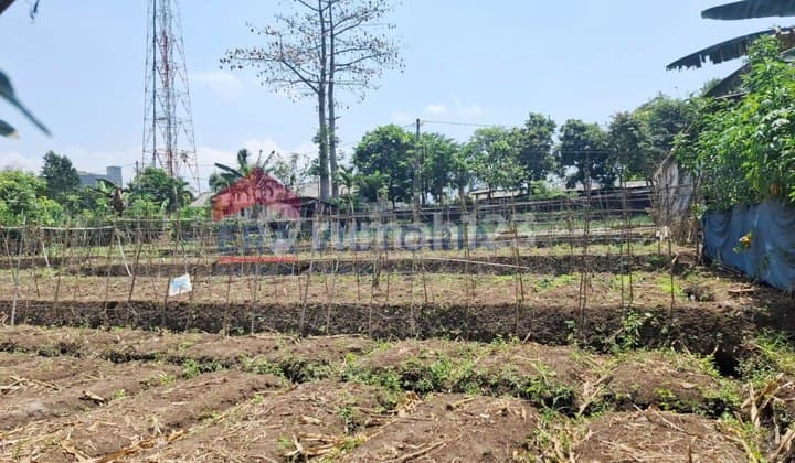 Dijual Tanah Area Pendem Batu Cocok Untuk Tempat Tinggal