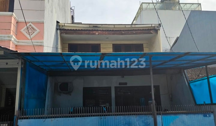 Dijual Rumah Kelapa Hybrida Kelapa Gading