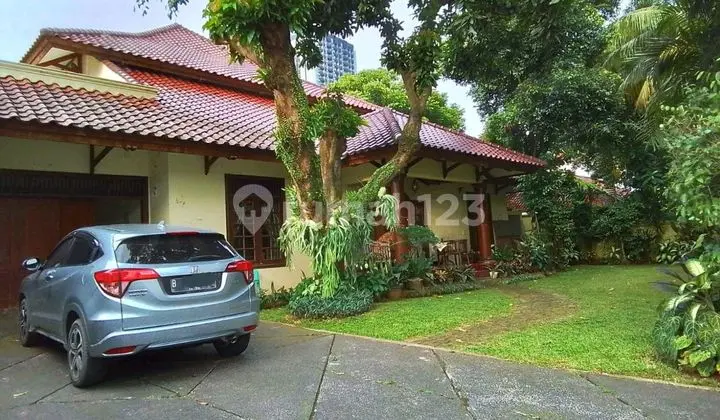 Butuh Cepat Nego Sampai Deal Rumah Asri, Luas, Harga Murah di Cilandak - Dekat Gandaria City & Pondok Indah