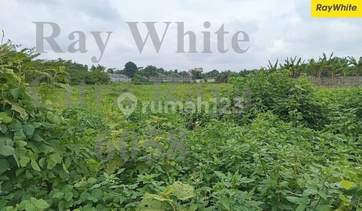 Kavling Paling cocok untuk Lahan Bisnis maupun Invest Kos-kosan