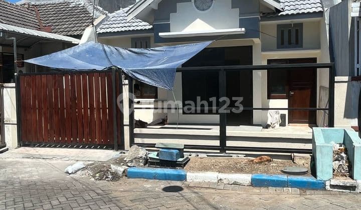 Turun Harga Owner Bu Rumah Pocan Semangka