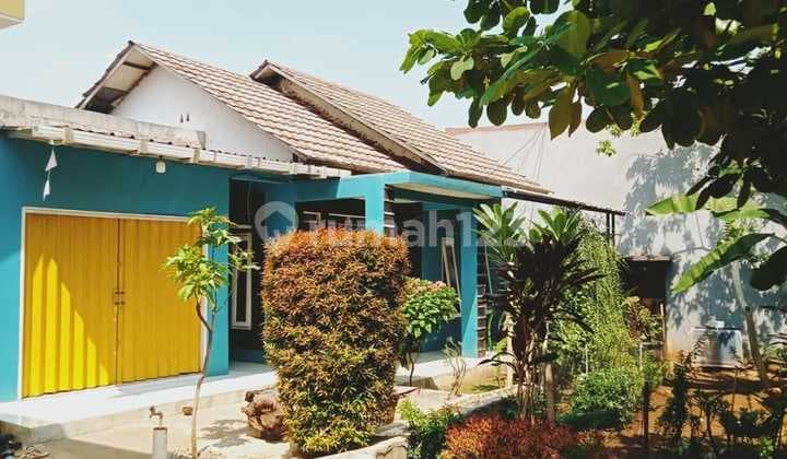 Di Jual Rumah Kampung Halaman Depan Luas Ada Pohon Rambutan Dan Sebagai Nya Halamn Belakng Tersedia Akses Masuk Mobil Jalan Luas.bangunan Baru