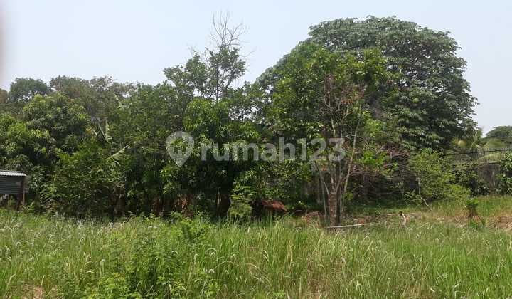 Tanah Di Jual Lokasi Strategis Cocok Untuk Ruko Dan Apartemnt