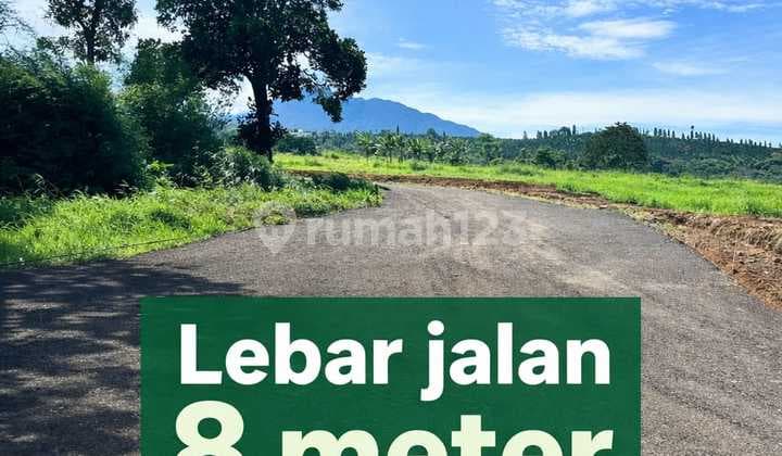 Tanah Dekat Jalan Raya Utama Puncak Best View