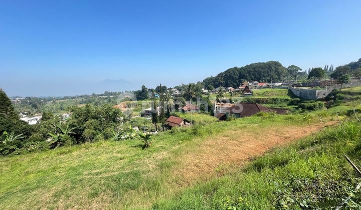 Tanah Dijual Shm Luas 4.500m2 Di Puncak Bogor