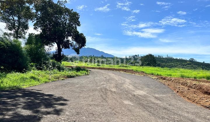Tanah Puncak Best View Dekat Jalan Raya