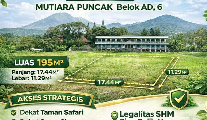 Tanah Dekat Jalan Raya Puncak Best View