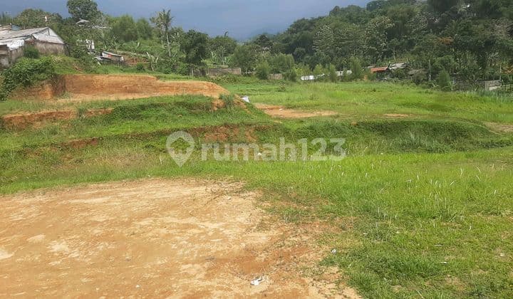 Tanah Shm Di Jual Di Puncak Bogor
