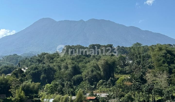 Tanah Puncak Strategis Best View Dijual 200M2