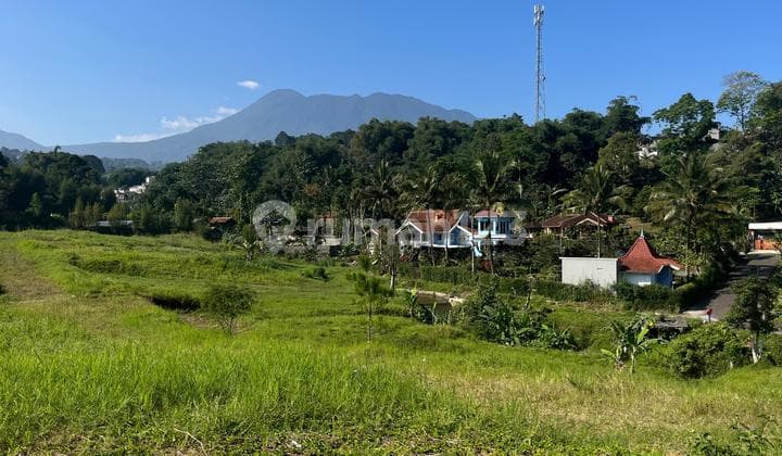 Tanah Shm Siap Bangun Di Jual Di Puncak Bogor Dekat Taman Safari