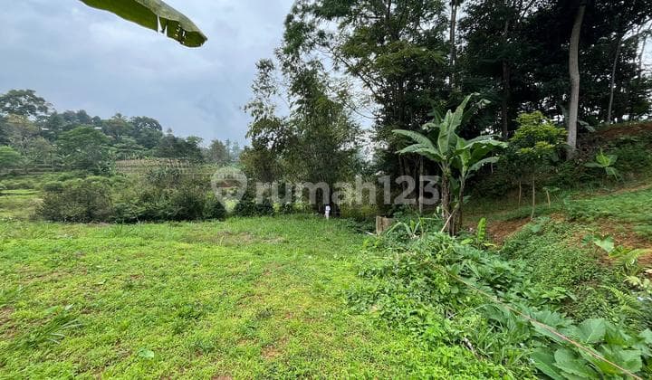 Tanah Shm Dijual Di Puncak Bogor