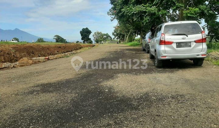 Tanah Strategis Dekat Jalan Raya Puncak Di Jual Di Puncak Bogor