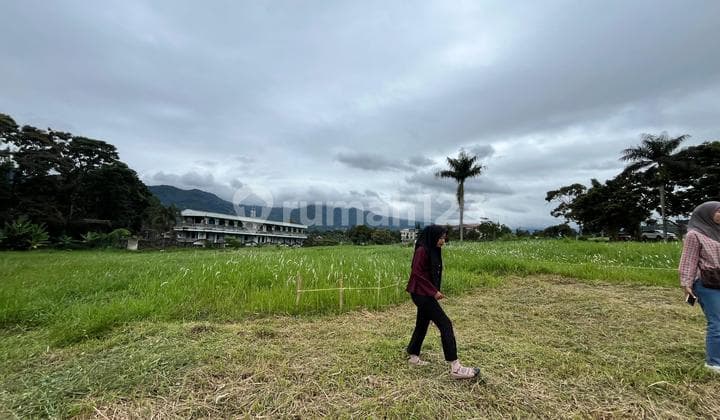 Tanah Dekat Jalan Raya Puncak Best View