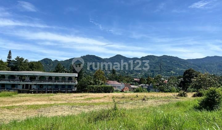 Tanah Potensial Best View Dijual Di Puncak Bogor
